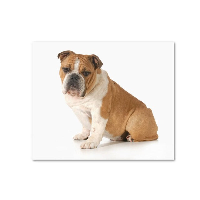 Moderne Hundeposter und -drucke – Leinwandbilder
