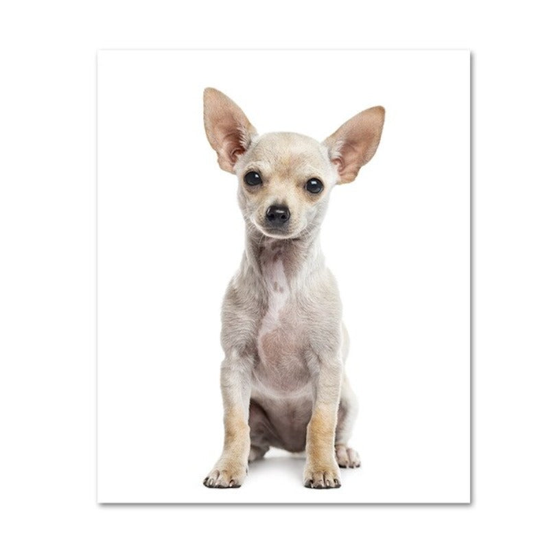 Moderne Hundeposter und -drucke – Leinwandbilder