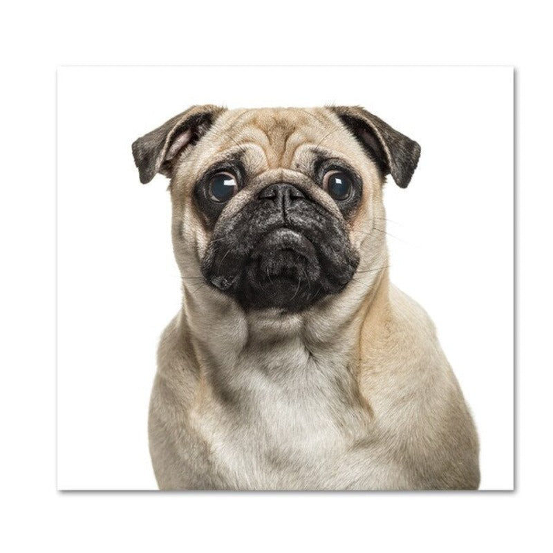 Moderne Hundeposter und -drucke – Leinwandbilder