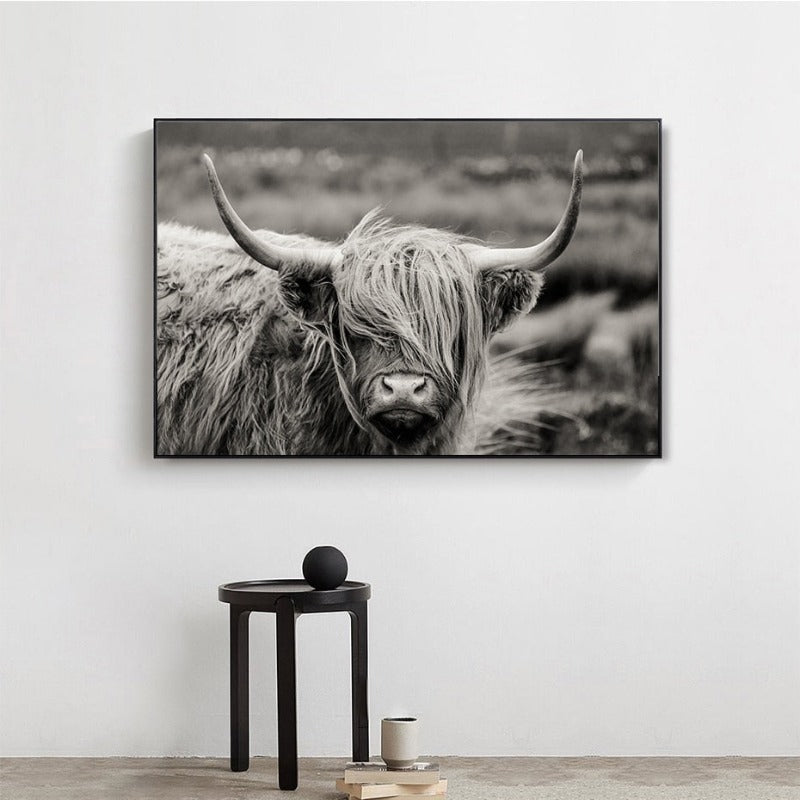 Schottisches Hochlandrind, Kuh, Yak – Tierposter, Wandbild – Leinwandbild