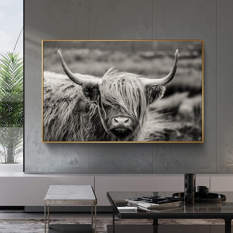 Schottisches Hochlandrind, Kuh, Yak – Tierposter, Wandbild – Leinwandbild