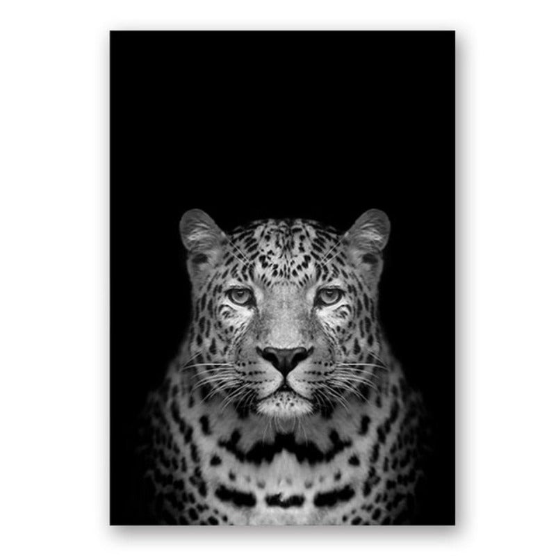Natur, Tierwelt Afrikas, Wildtiere, Schwarz-Weiß - Leinwandbild