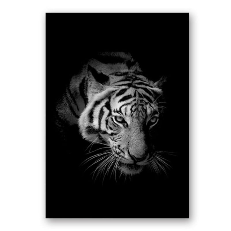 Natur, Tierwelt Afrikas, Wildtiere, Schwarz-Weiß - Leinwandbild