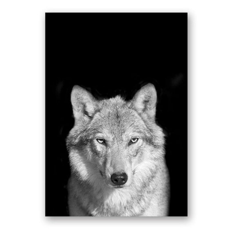 Natur, Tierwelt Afrikas, Wildtiere, Schwarz-Weiß - Leinwandbild