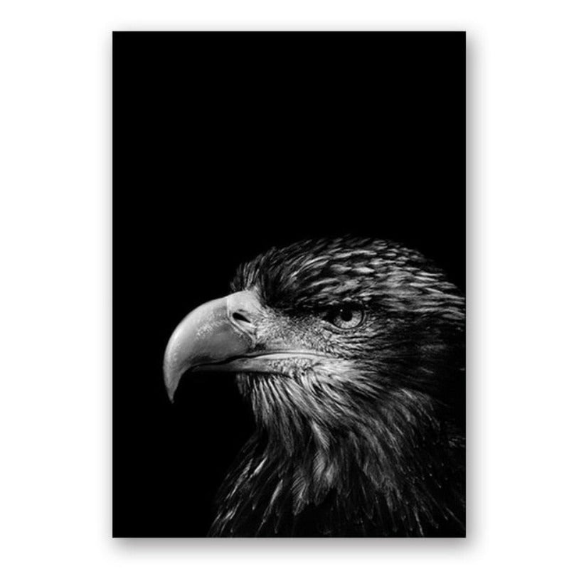 Natur, Tierwelt Afrikas, Wildtiere, Schwarz-Weiß - Leinwandbild