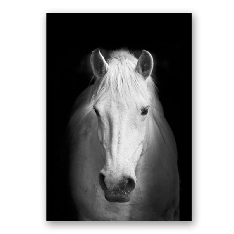 Natur, Tierwelt Afrikas, Wildtiere, Schwarz-Weiß - Leinwandbild
