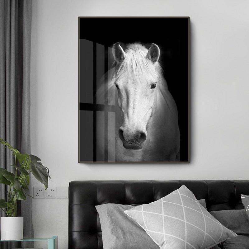 Natur, Tierwelt Afrikas, Wildtiere, Schwarz-Weiß - Leinwandbild
