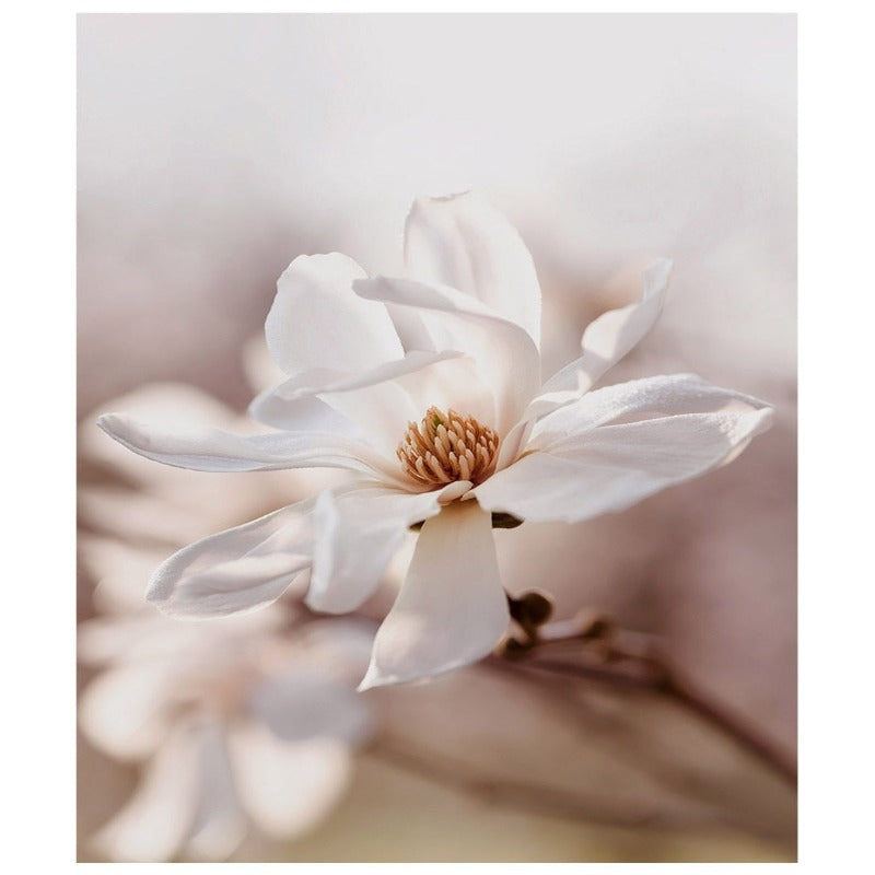 Moderne rosa Blumenskizze – Leinwandbild
