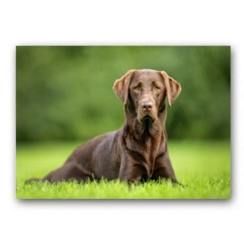 Liebes modernes Haustier Hund - Leinwandwandkunstgemälde