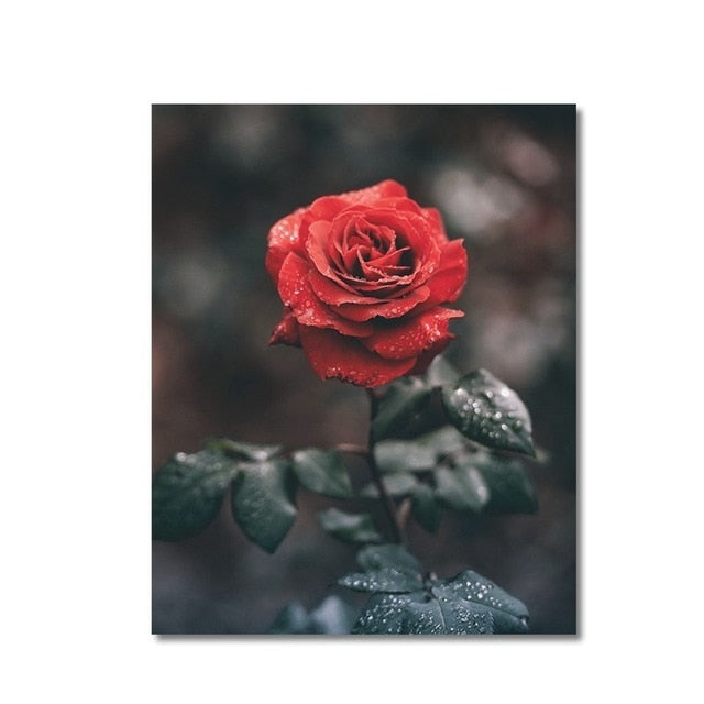 Skandinavische Poster, Rosenmotive, Lebenszitat, minimalistisch – Leinwandbild