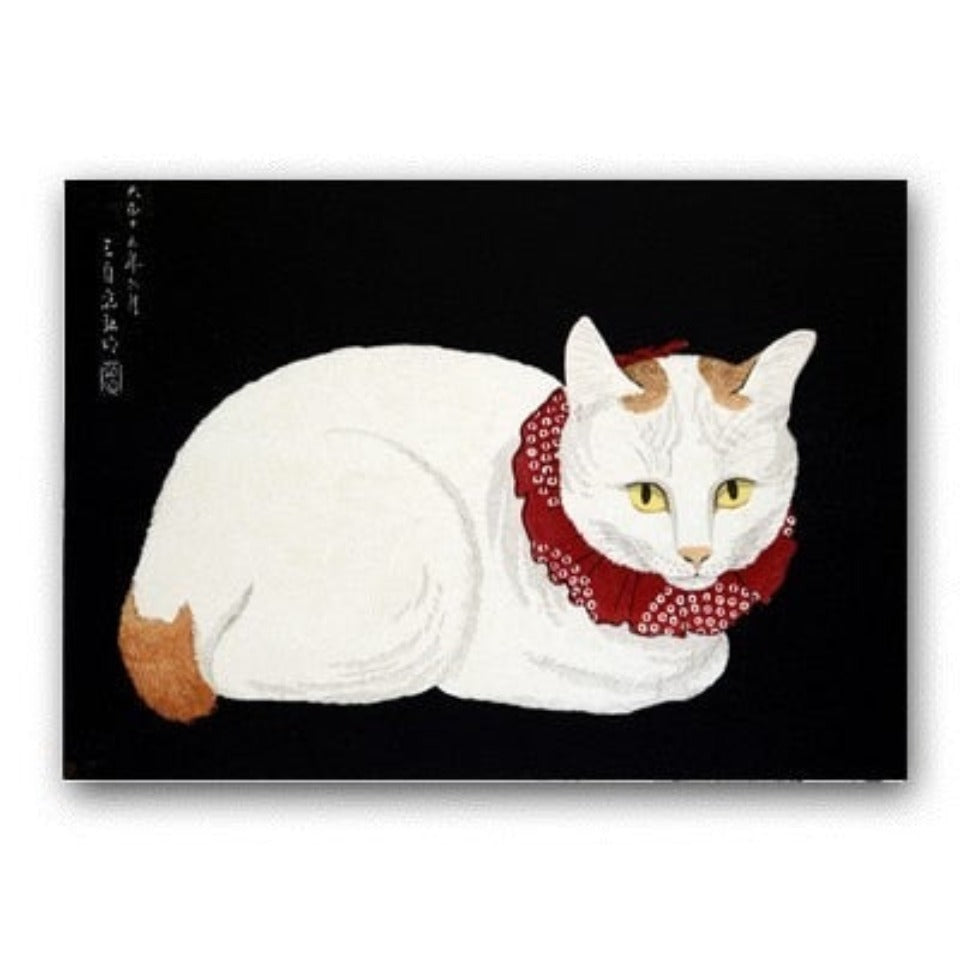 Katze mit rotem Schal - Leinwandbild
