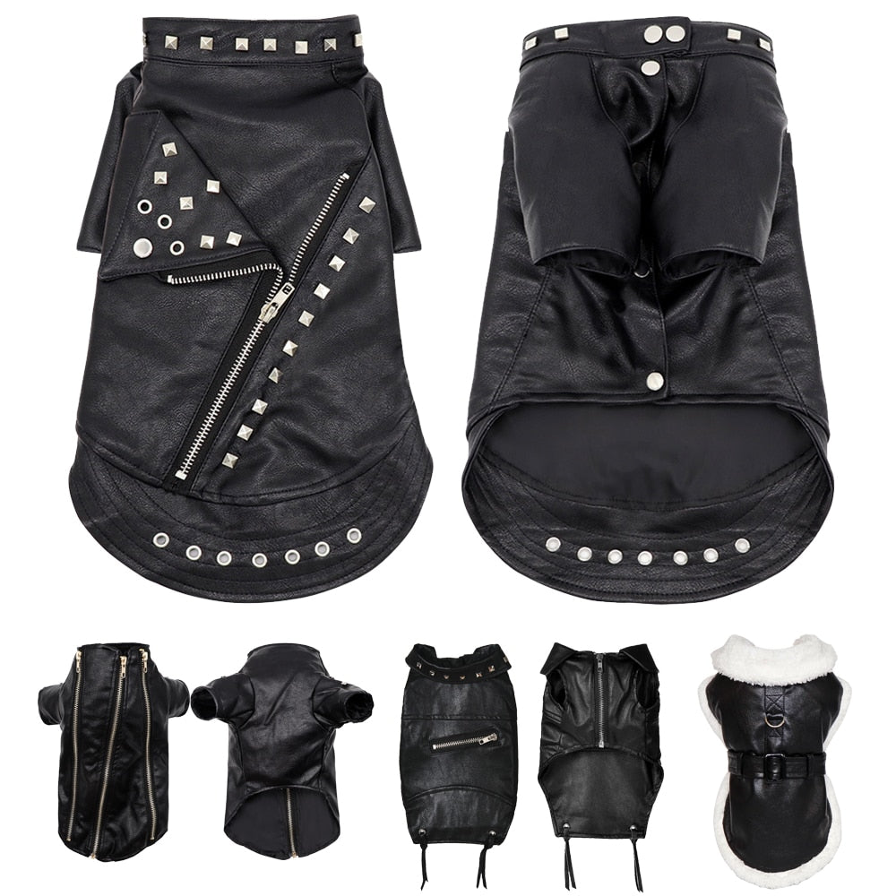 Brehn | Coole niedliche Leder Haustierjacke
