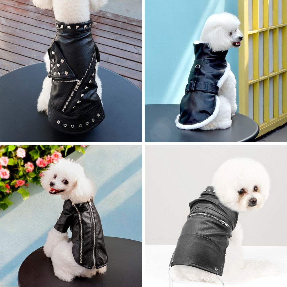 Brehn | Coole niedliche Leder Haustierjacke