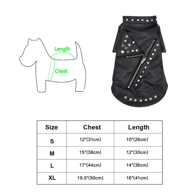 Brehn | Coole niedliche Leder Haustierjacke