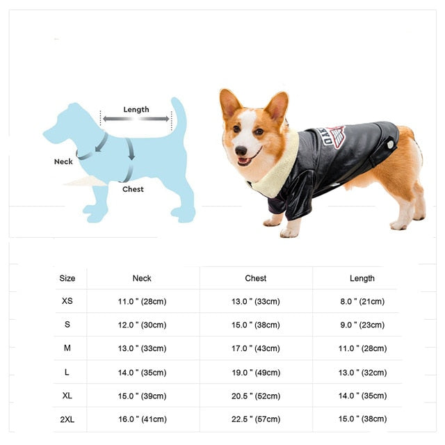 Brehn | Coole niedliche Leder Haustierjacke