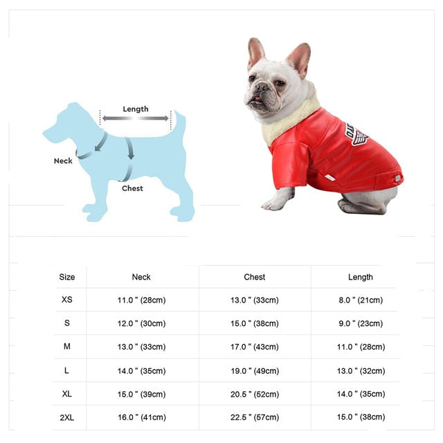 Brehn | Coole niedliche Leder Haustierjacke