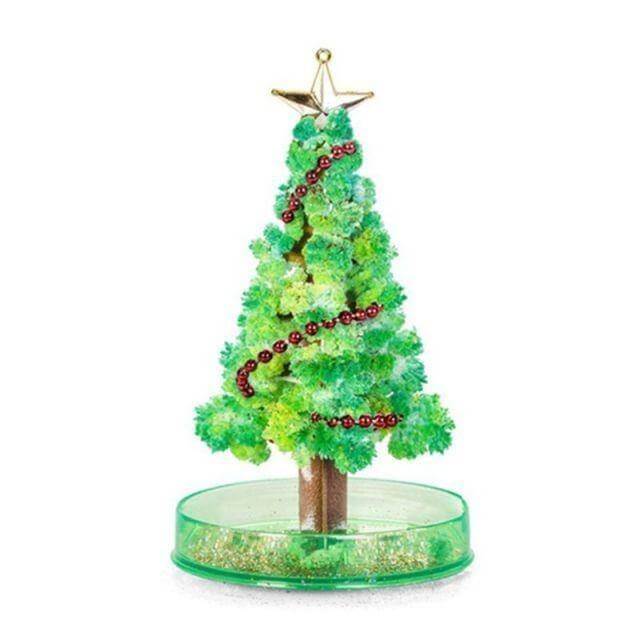 Brehn | DIY Magischer Wachsende Weihnachtsbaum