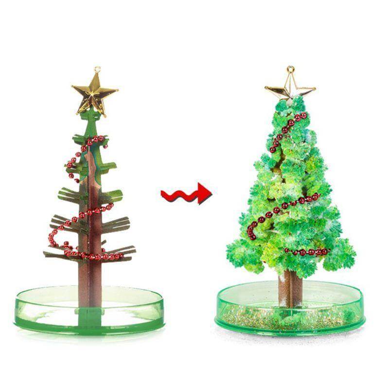 Brehn | DIY Magischer Wachsende Weihnachtsbaum