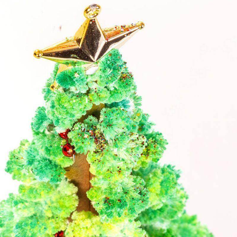 Brehn | DIY Magischer Wachsende Weihnachtsbaum