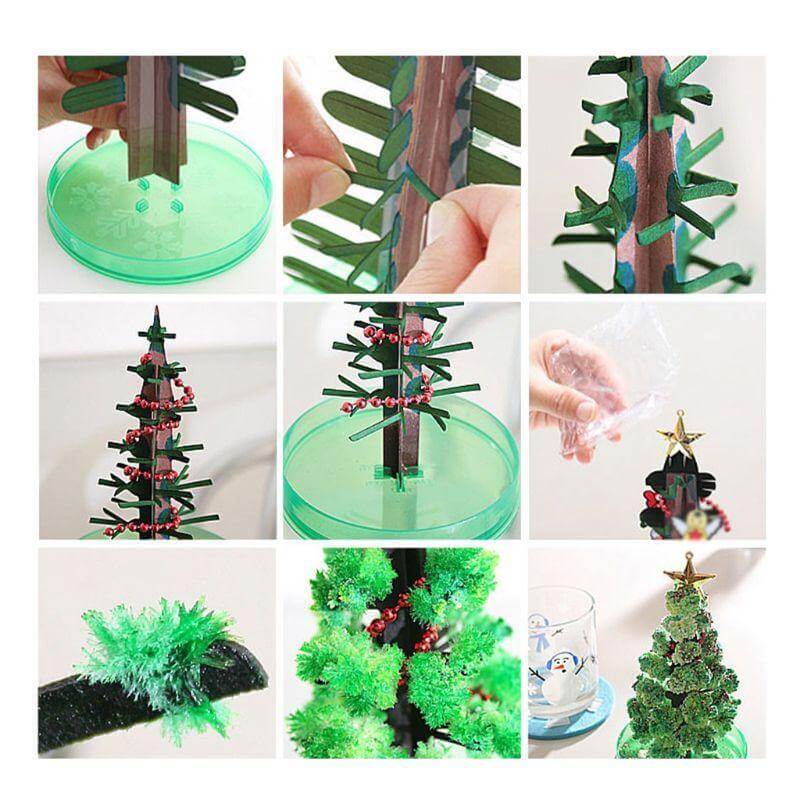 Brehn | DIY Magischer Wachsende Weihnachtsbaum