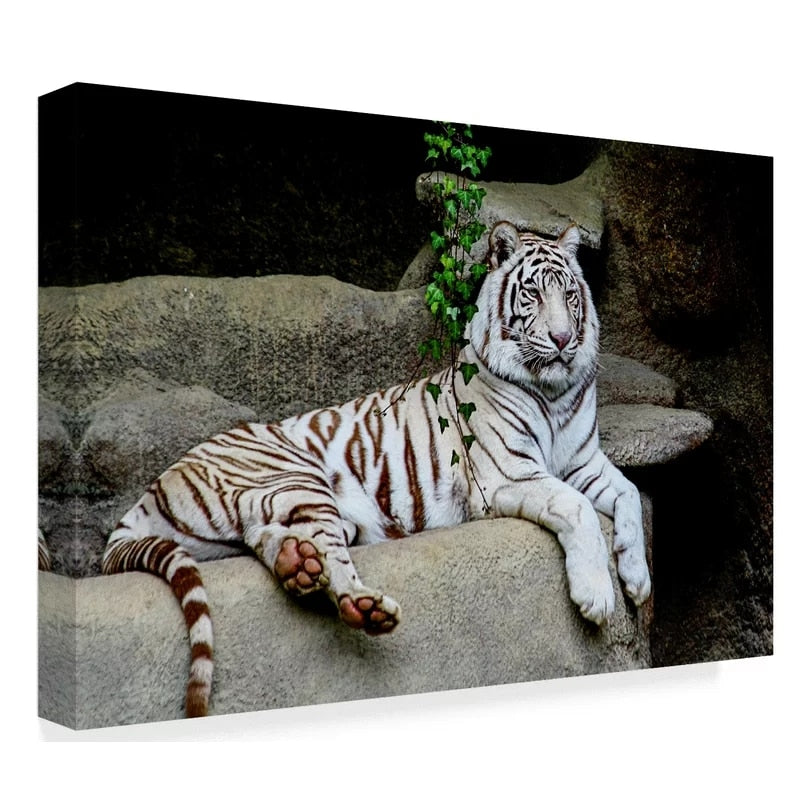 Liegender Weißer Tiger - Leinwand Wandkunst Gemälde