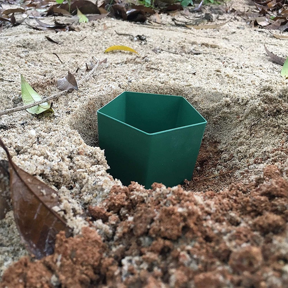 Umweltfreundliche Farm Protector Insektenfalle Box | Brehn
