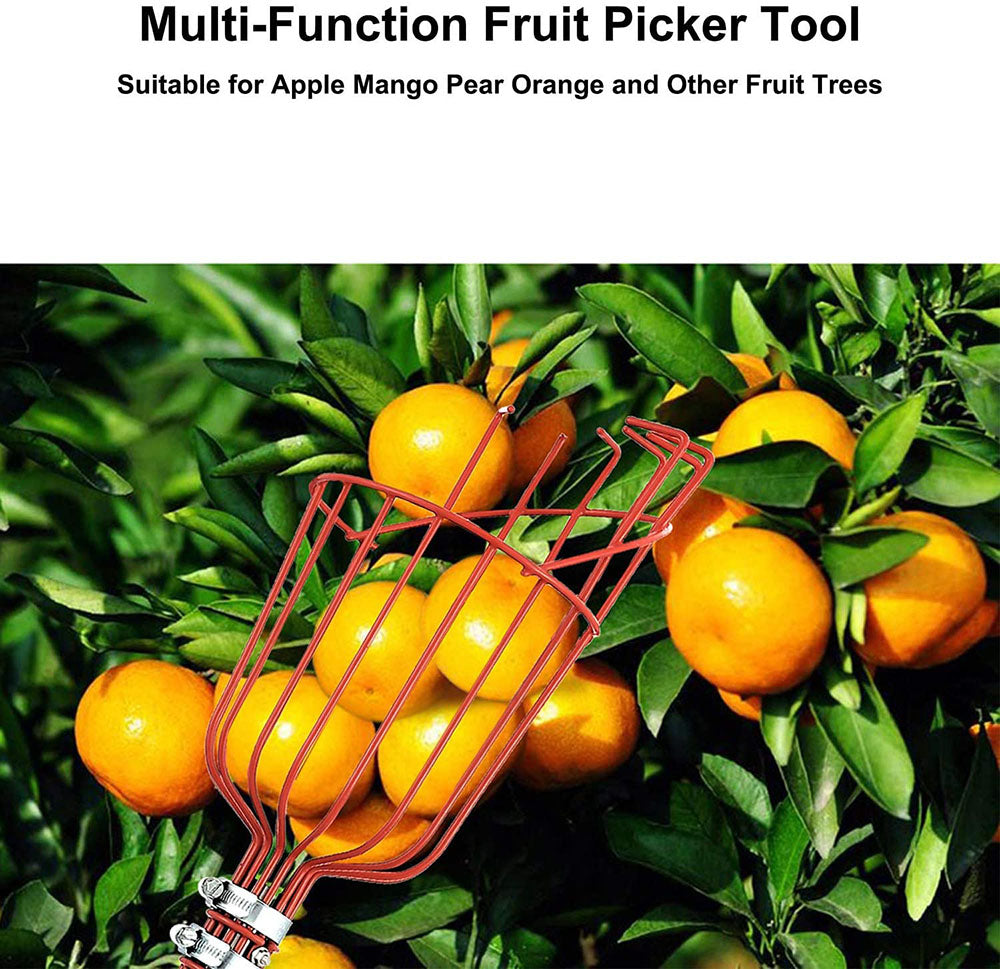 Hochäste Obstpicker | Brehn