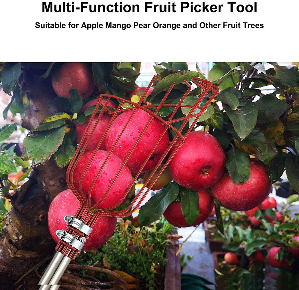 Hochäste Obstpicker | Brehn