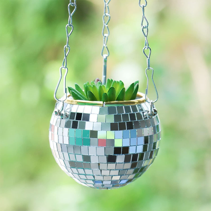 Brehn | Disco Ball Pflanze