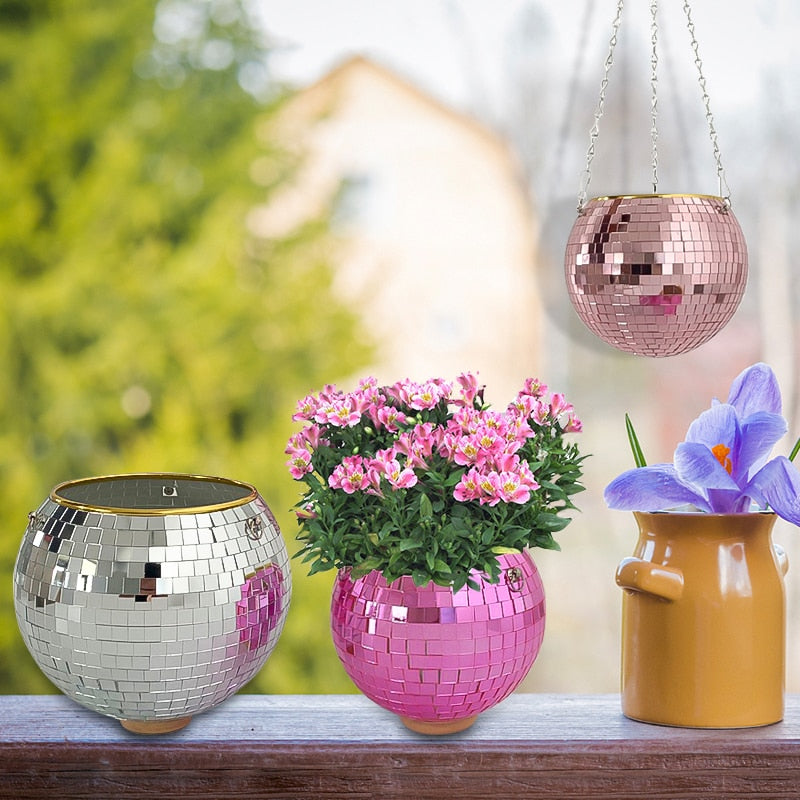 Brehn | Disco Ball Pflanze