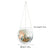 Brehn | Disco Ball Pflanze