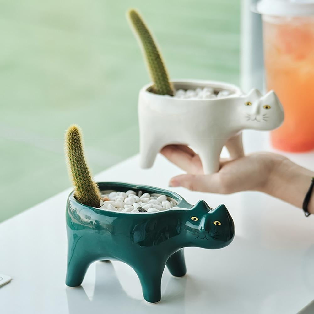 Kat Pot | Brehn