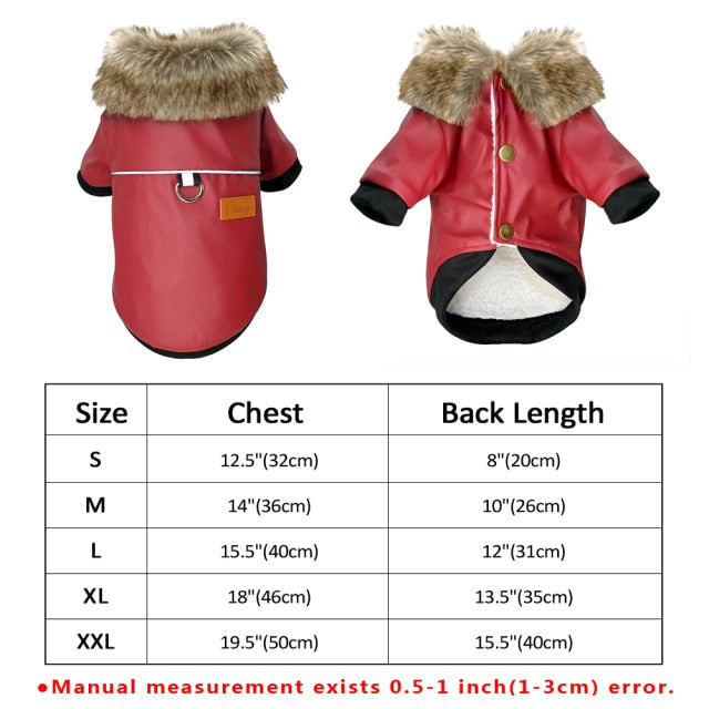 Brehn | Coole niedliche Leder Haustierjacke