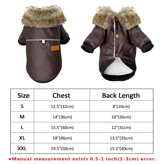 Brehn | Coole niedliche Leder Haustierjacke