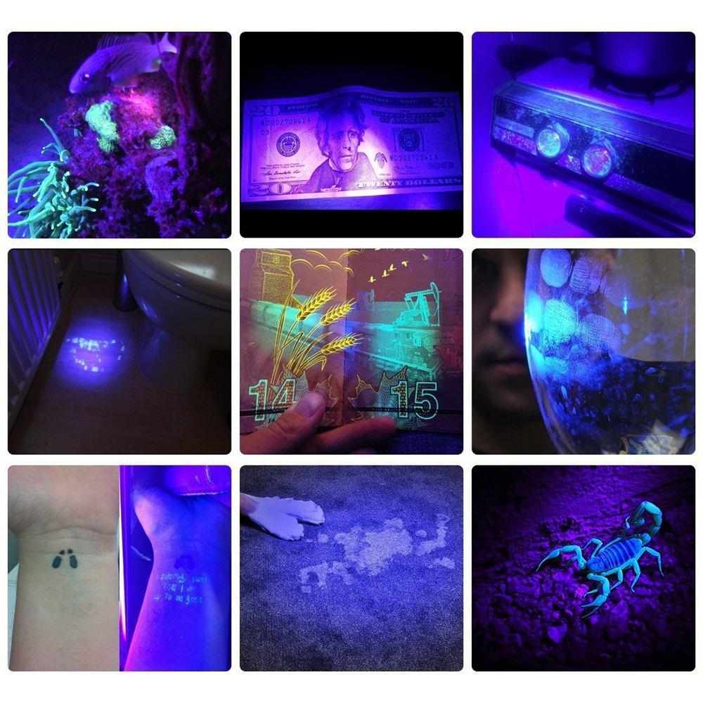 HiLight - LED UV Erkennungs-Taschenlampe | Brehn