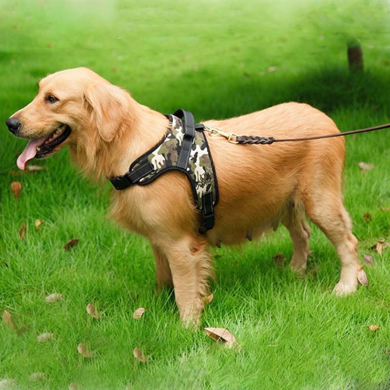 Verstellbares Haustier Hundegeschirr | Brehn