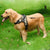 Verstellbares Haustier Hundegeschirr | Brehn