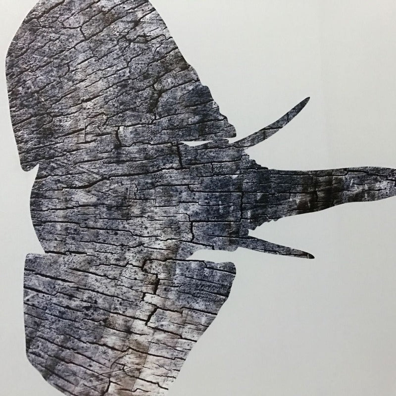 Moods Of Elephants - Leinwand Wandkunst Gemälde