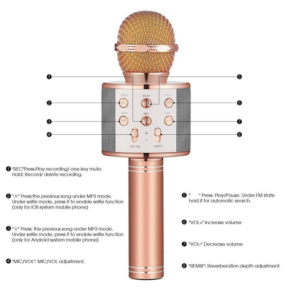 Brehn | Kabelloses Magic Karaoke Mikrofon – Bluetooth Karaoke Mikrofon