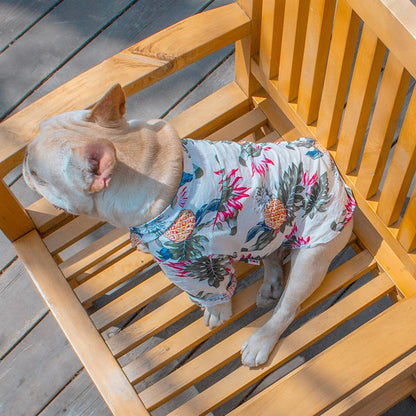 Frenchie Sommerhemd | Brehn