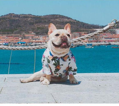 Frenchie Sommerhemd | Brehn