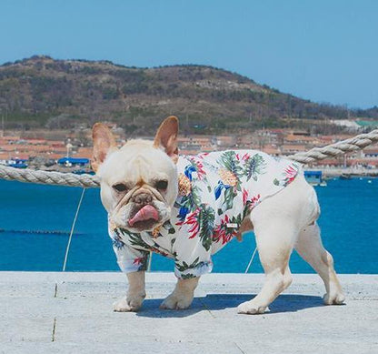 Frenchie Sommerhemd | Brehn