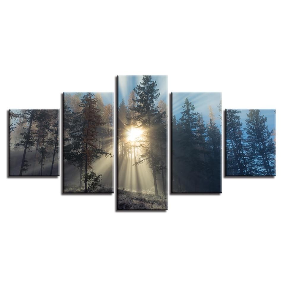 Das Licht des Waldes – Leinwandbild