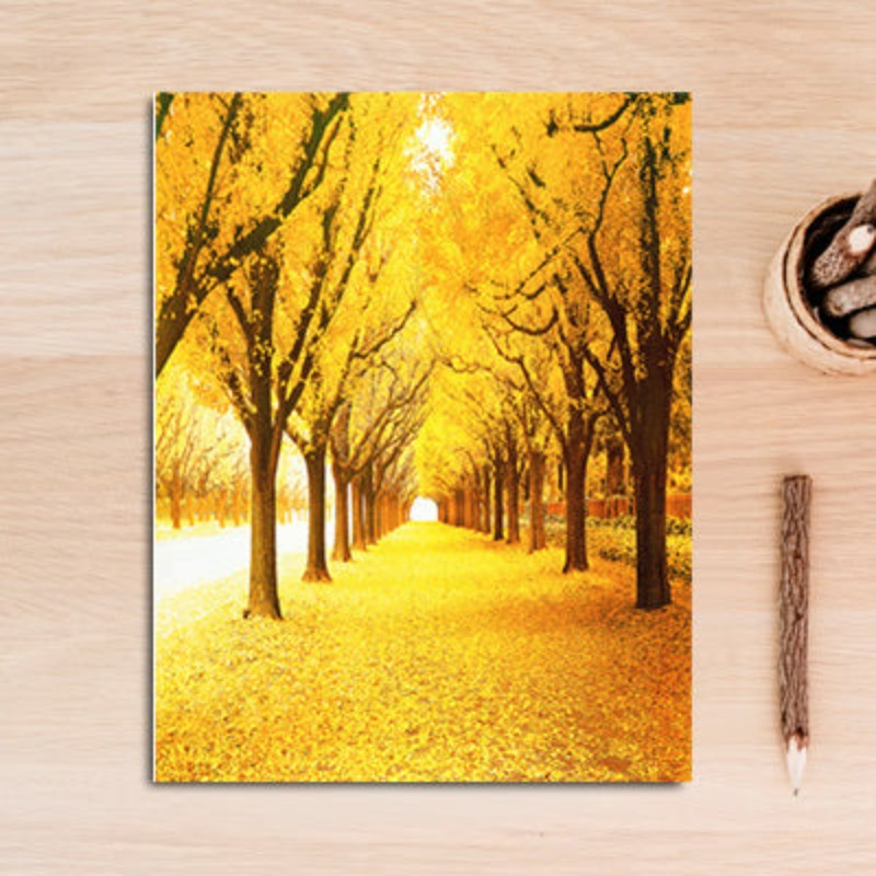 Natur-Waldlandschaft - Leinwandbild