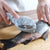 Fischschuppenreibe | Brehn