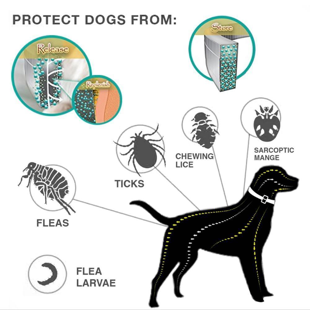 Brehn | Zecken- und Flohbekämpfender Hundehalsband