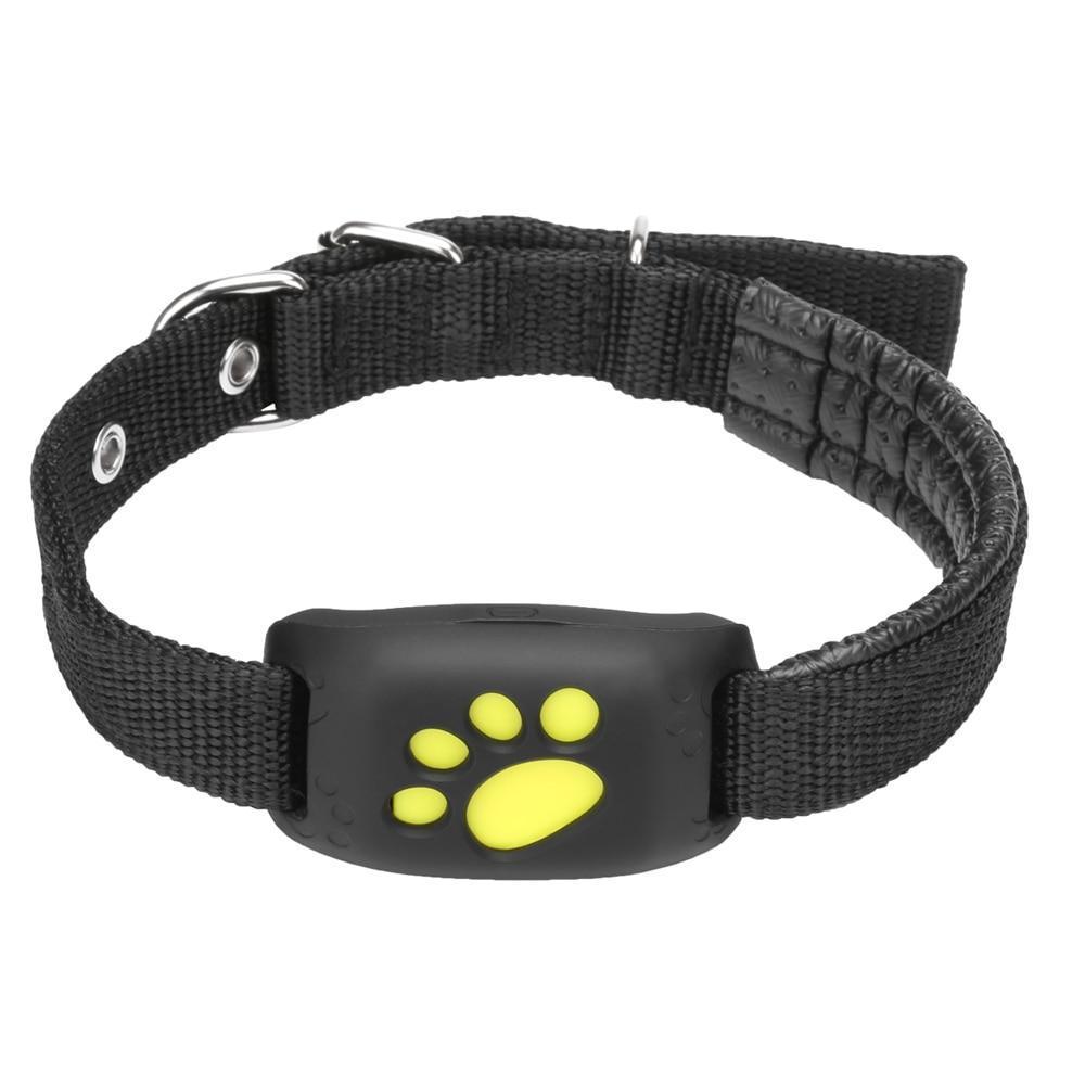 Brehn | GPS Hundehalsband