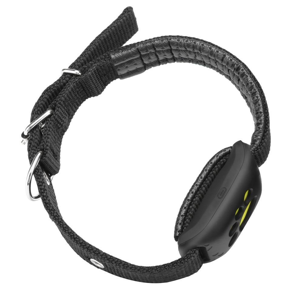 Brehn | GPS Hundehalsband