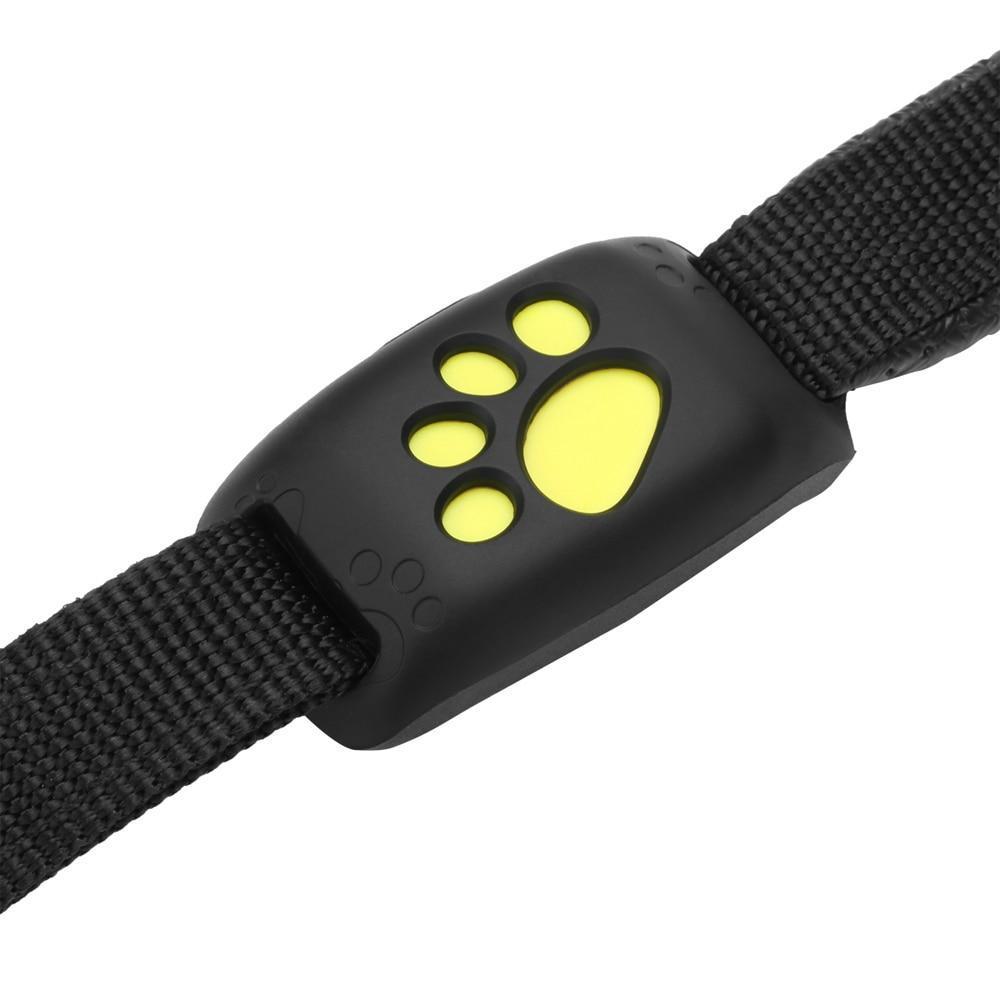 Brehn | GPS Hundehalsband