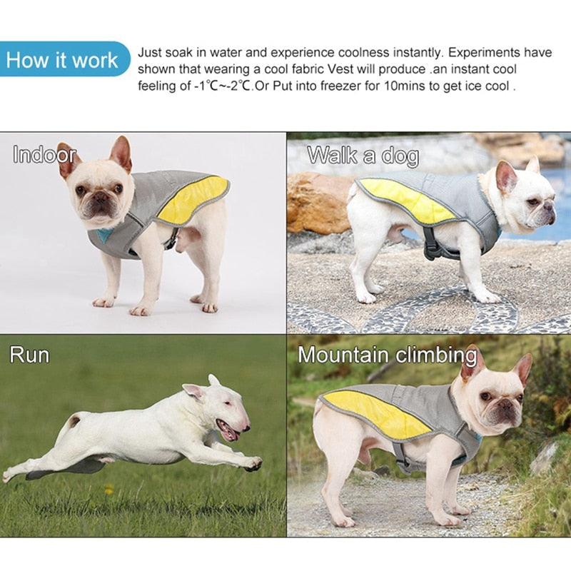 Coolify™ : Kühlweste für Frenchie (CS13) | Brehn